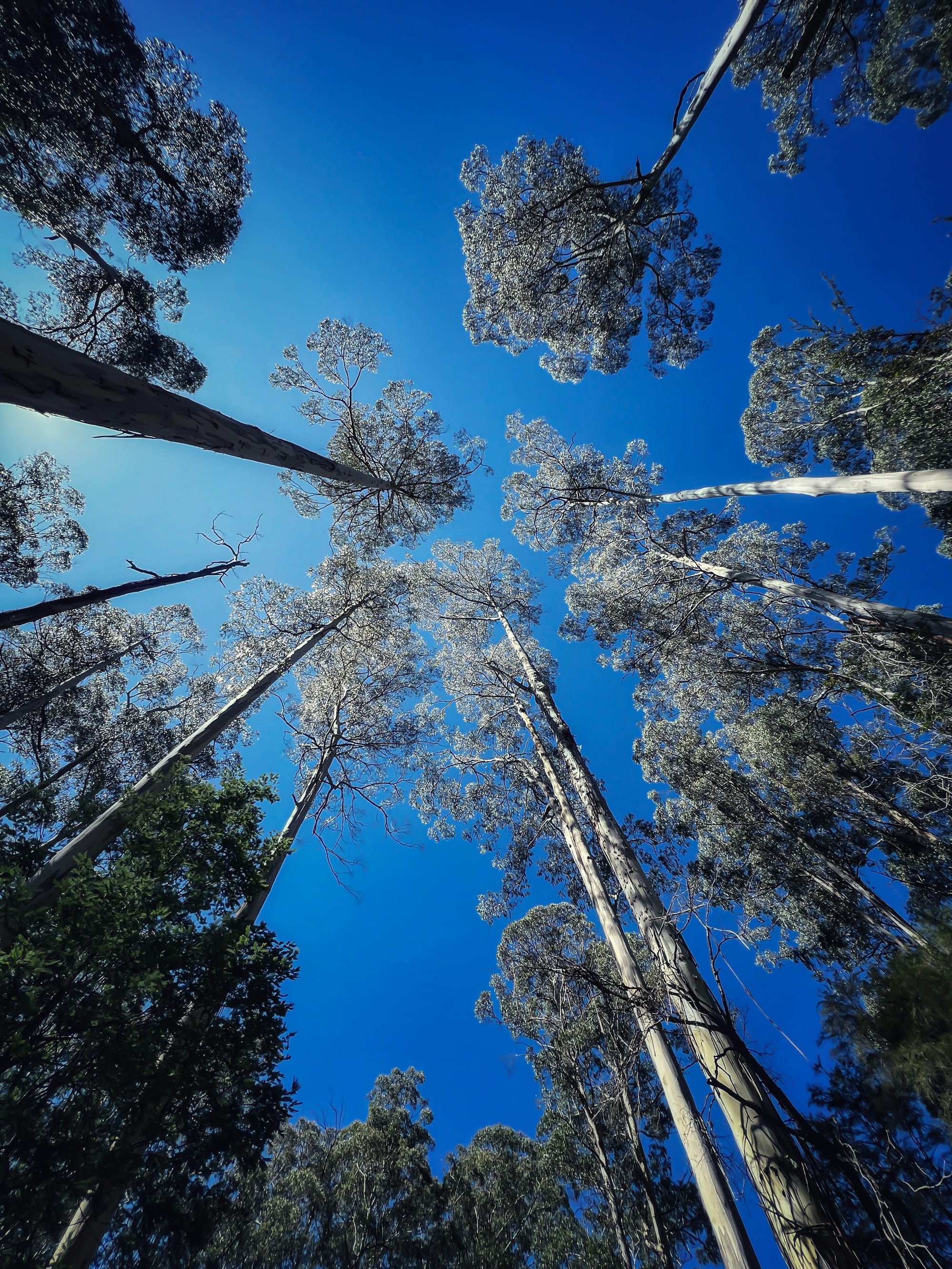 Fragment 2 — Simple but Not Easy